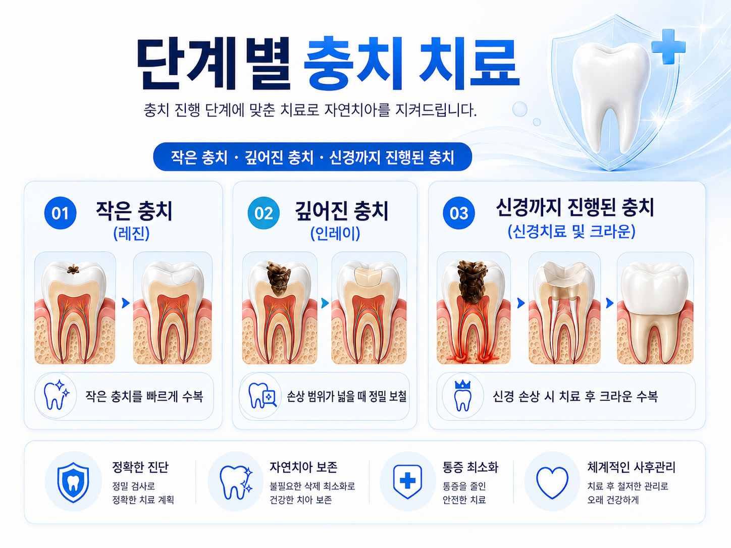 일반 예방 진료를 위한 치과 검진 이미지